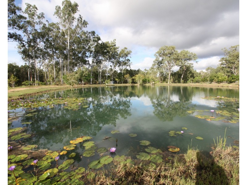 52 Hoolahan Drive, Mareeba QLD 4880