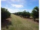 208 George Fabris Road, Mareeba QLD 4880