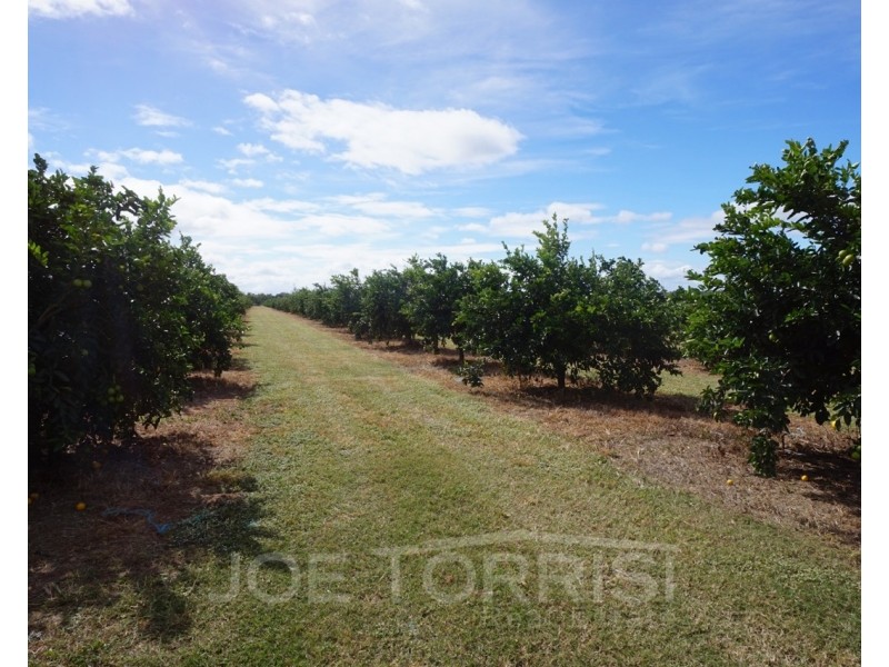 208 George Fabris Road, Mareeba QLD 4880