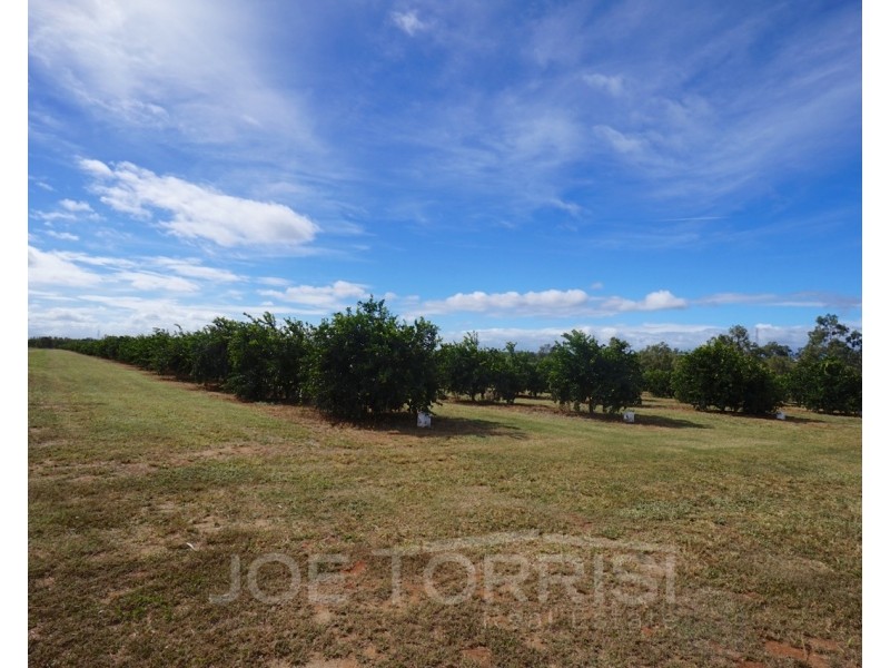208 George Fabris Road, Mareeba QLD 4880