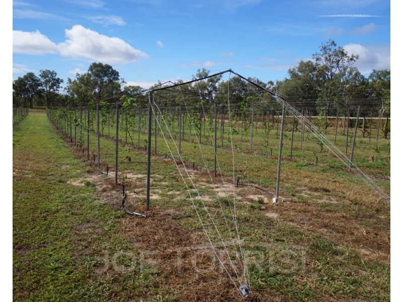 208 George Fabris Road, Mareeba QLD 4880