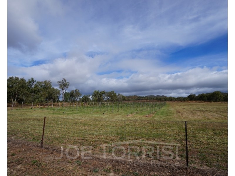 208 George Fabris Road, Mareeba QLD 4880