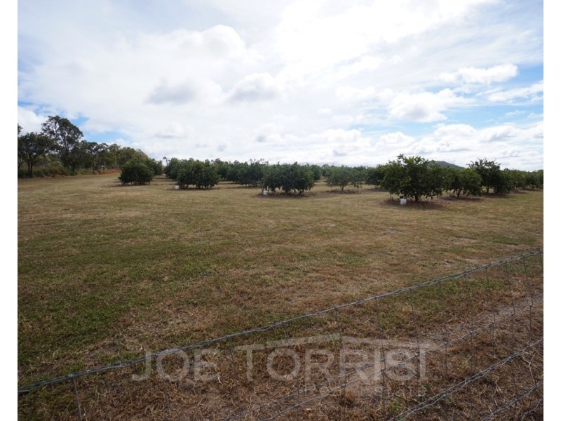 208 George Fabris Road, Mareeba QLD 4880