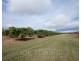 208 George Fabris Road, Mareeba QLD 4880