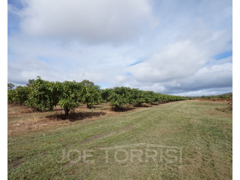 208 George Fabris Road, Mareeba QLD 4880