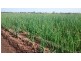 672 Main Canal Road, Coleambally NSW 2707