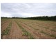 672 Main Canal Road, Coleambally NSW 2707