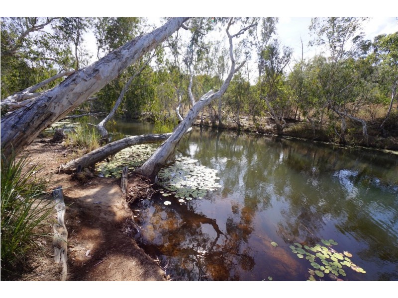 Lot 163 Collins Weir Road, Mutchilba QLD 4872