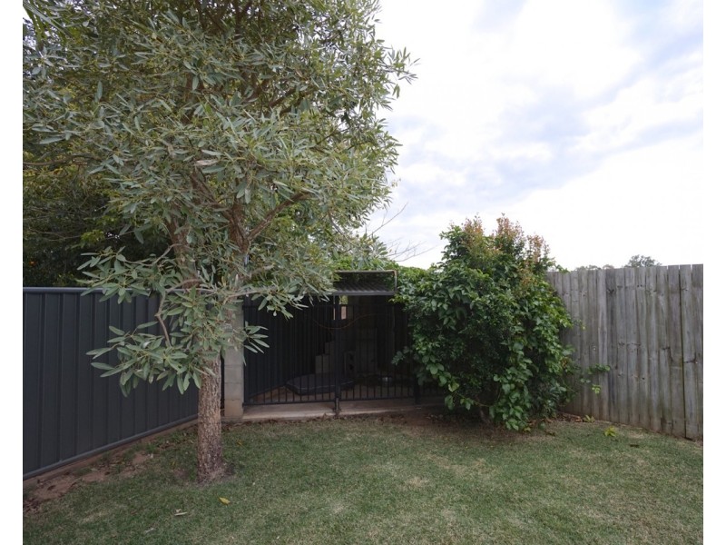 42 Jacana Close, Mareeba QLD 4880