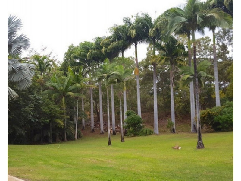 Lot 172 & 173,  Anzac Avenue, Mareeba QLD 4880