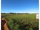 Lot 145, Hoevet Court, Mareeba QLD 4880