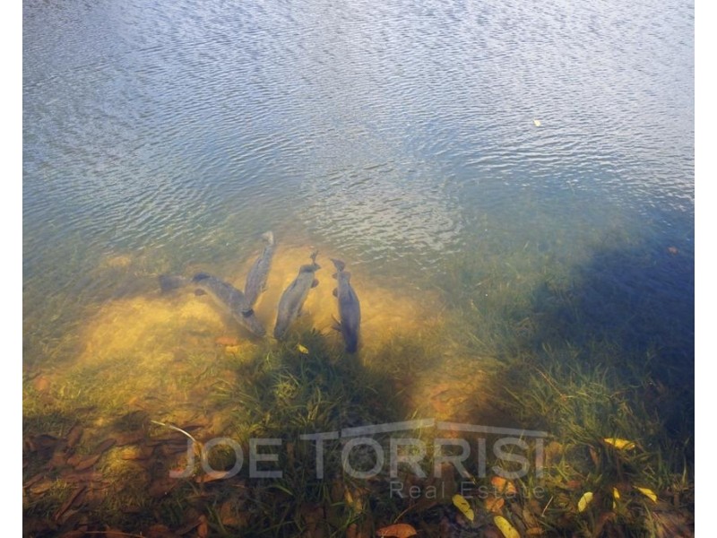 568 McGrath Road, Mareeba QLD 4880