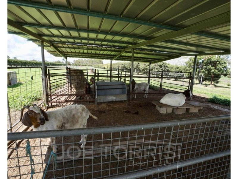 209 Malone Road, Mareeba QLD 4880