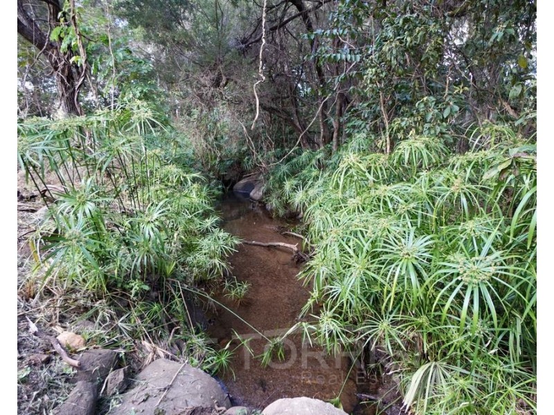 Lot 84, Kenneally Estate, Mareeba QLD 4880