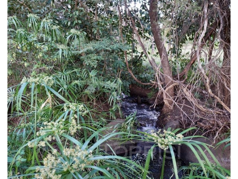 Lot 84, Kenneally Estate, Mareeba QLD 4880