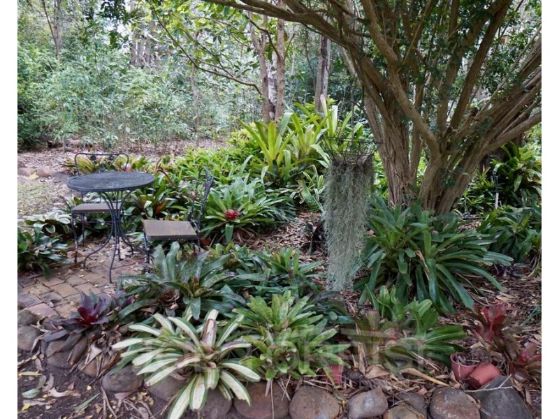 36 La Spina Road, Mareeba QLD 4880