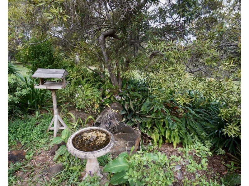 36 La Spina Road, Mareeba QLD 4880