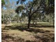 36 La Spina Road, Mareeba QLD 4880