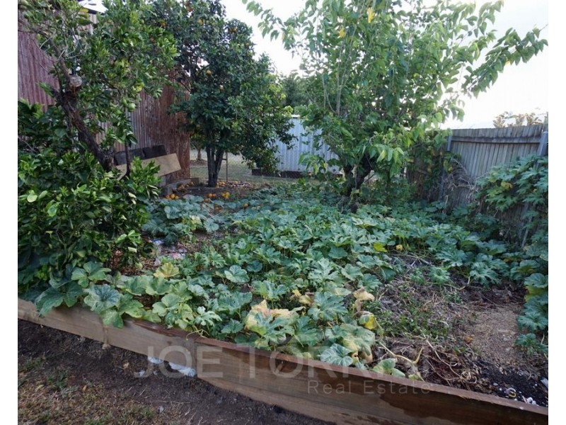 6 Seary Road, Mareeba QLD 4880