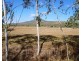 3123 Mareeba/Dimbulah Highway, Mutchilba QLD 4872