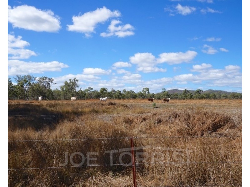 3123 Mareeba/Dimbulah Highway, Mutchilba QLD 4872