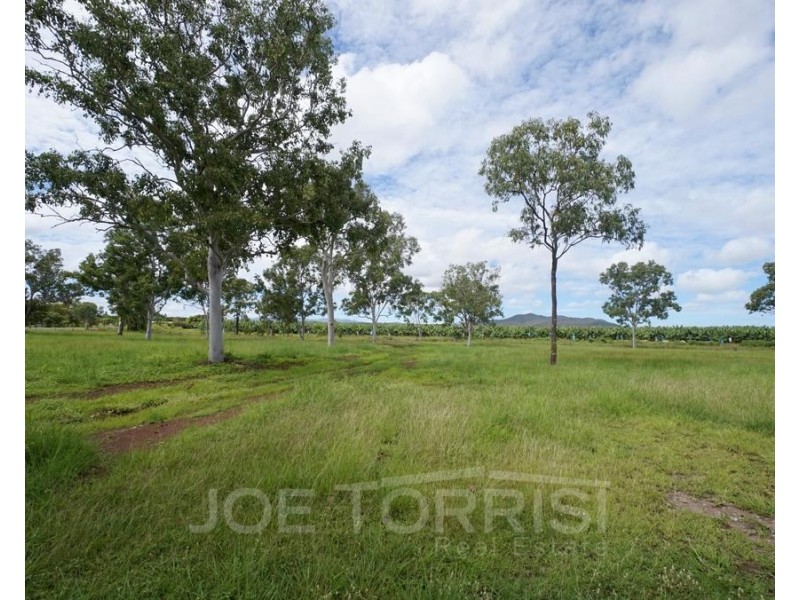 390 Ray Road, Mareeba QLD 4880