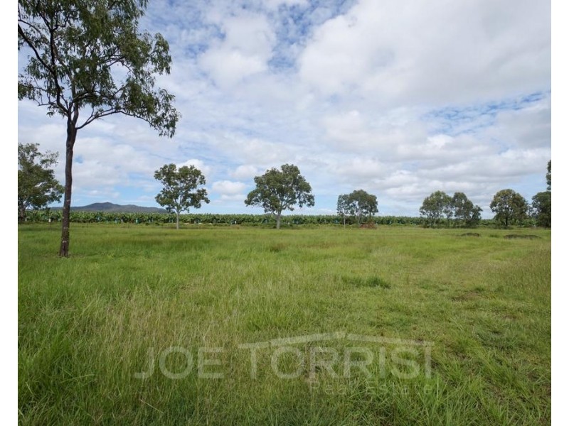 390 Ray Road, Mareeba QLD 4880
