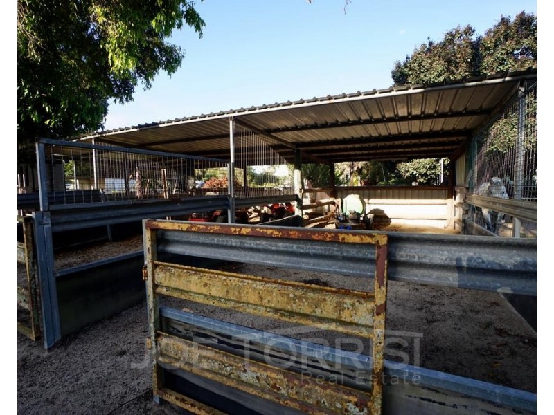 324 Ray Road, Mareeba QLD 4880