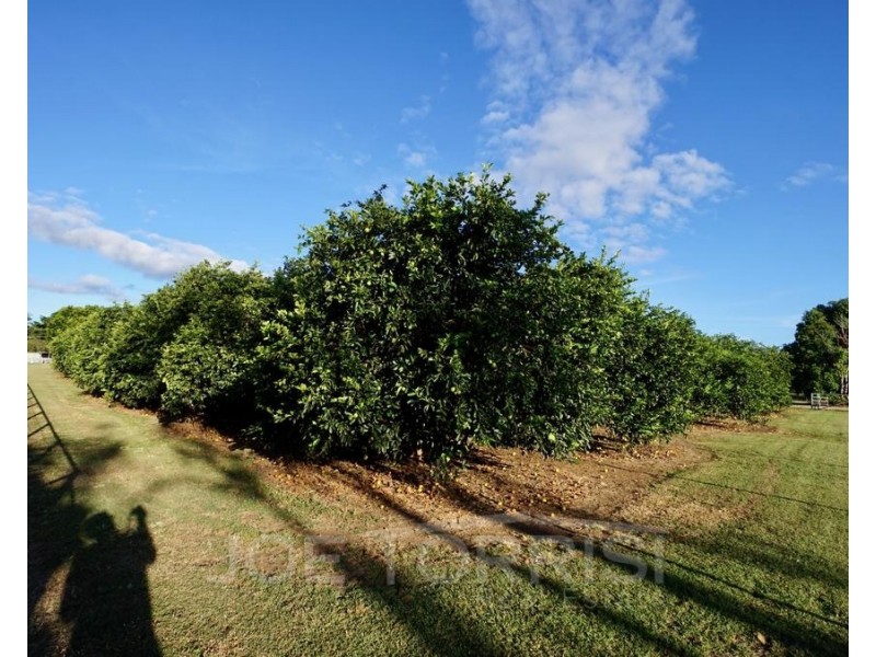 324 Ray Road, Mareeba QLD 4880