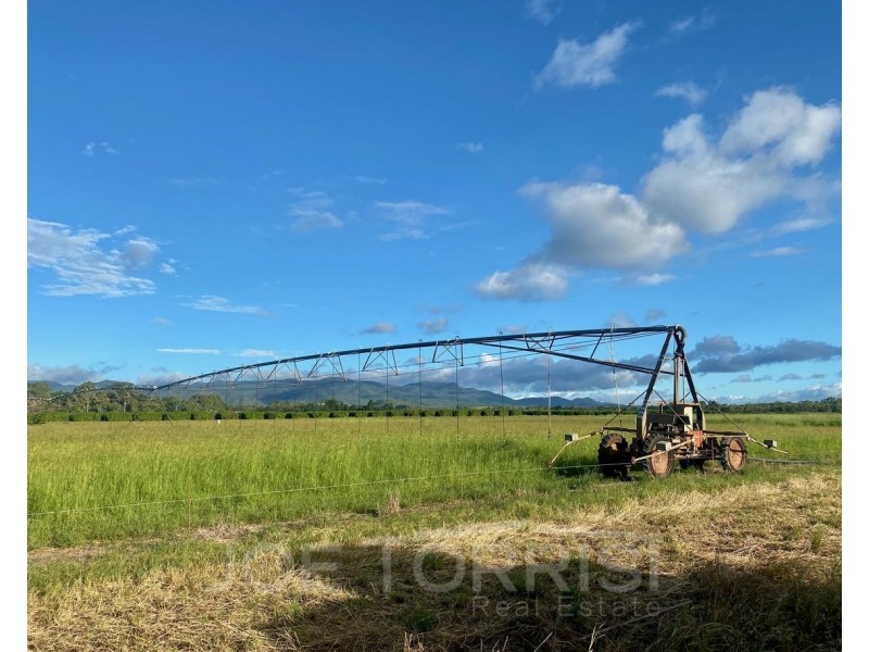 Mareeba QLD 4880