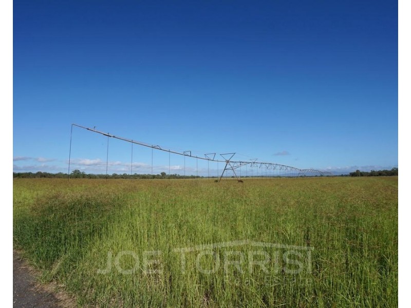 Mareeba QLD 4880