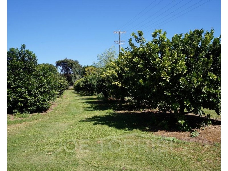 336 Fichera Road, Mareeba QLD 4880