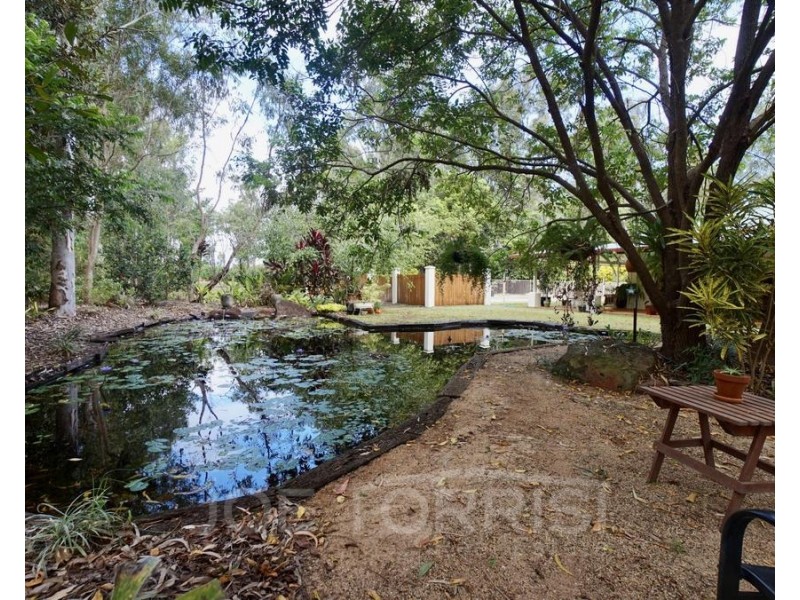 20 Norman Street, Mareeba QLD 4880