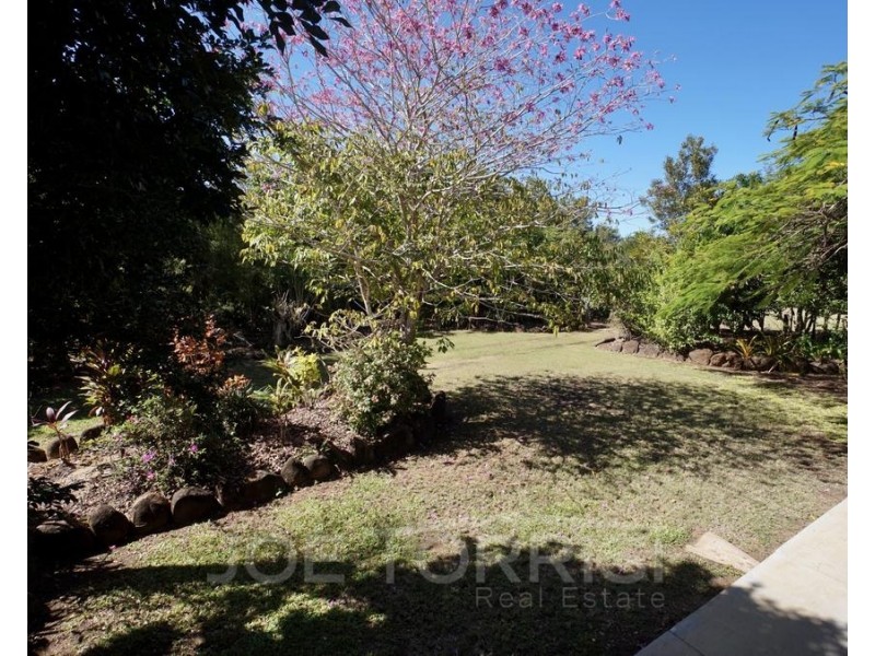 39 Jamieson Street, Mareeba QLD 4880