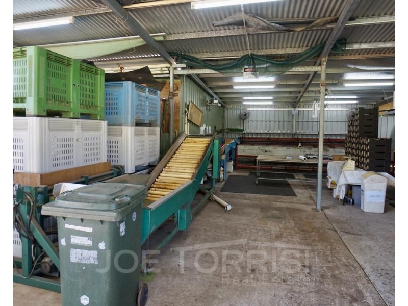 449 Ray Road, Mareeba QLD 4880