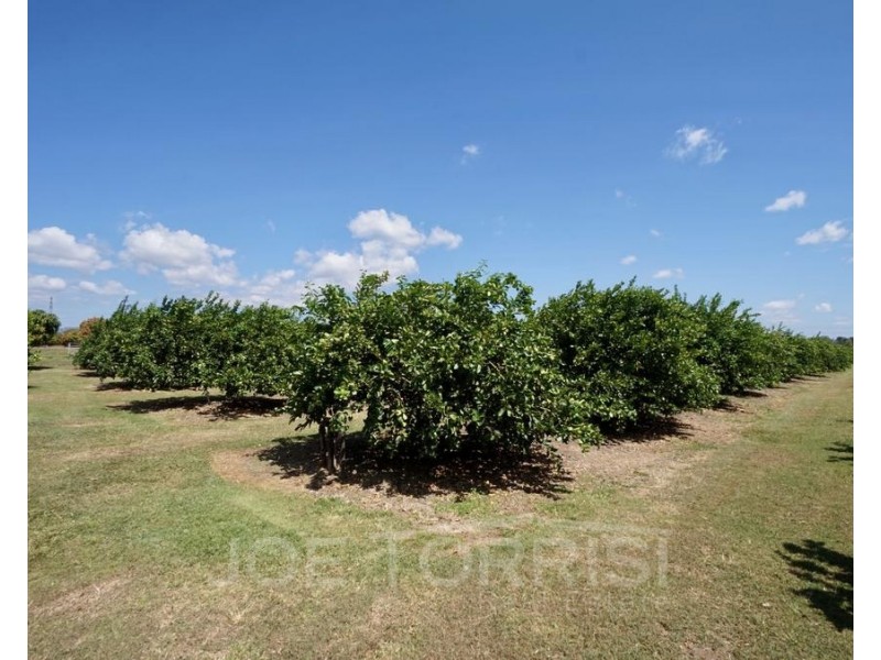 449 Ray Road, Mareeba QLD 4880