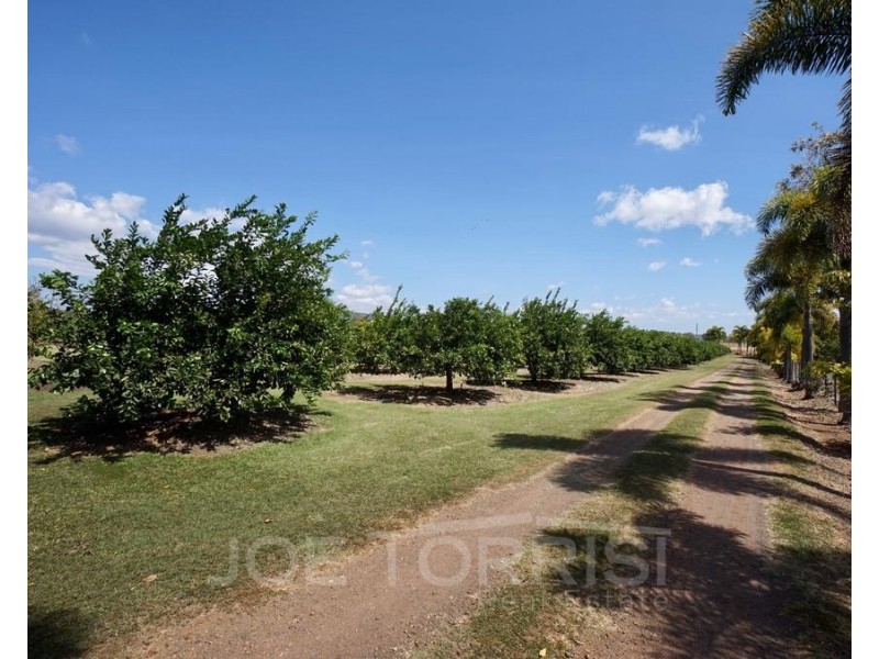 449 Ray Road, Mareeba QLD 4880