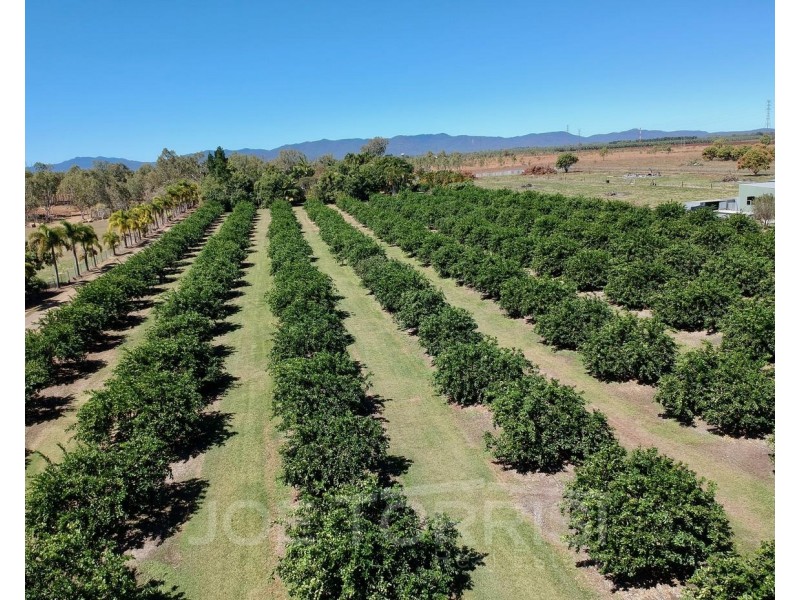 449 Ray Road, Mareeba QLD 4880