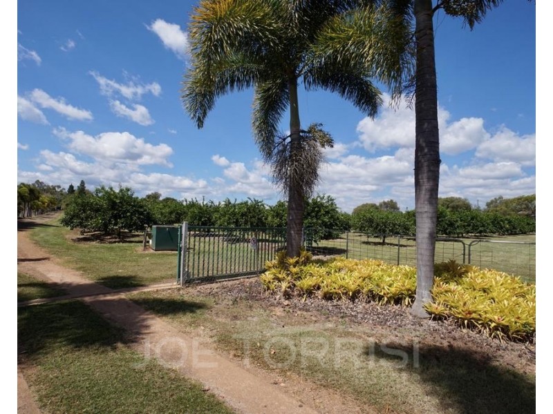 449 Ray Road, Mareeba QLD 4880