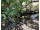 Lot 84, Summer Street, Mareeba QLD 4880