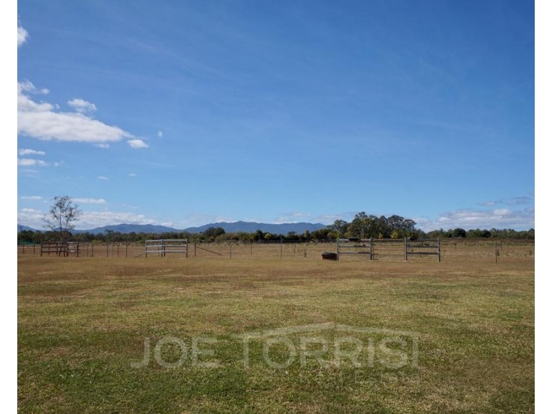 173 Martin Avenue, Mareeba QLD 4880