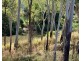 11 River Drive, Mareeba QLD 4880