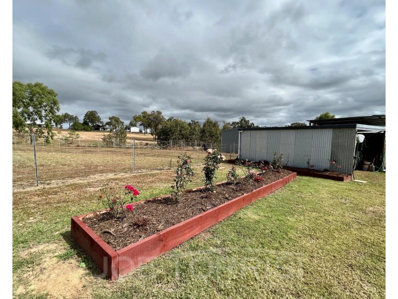 5 Annie Court, Mareeba QLD 4880