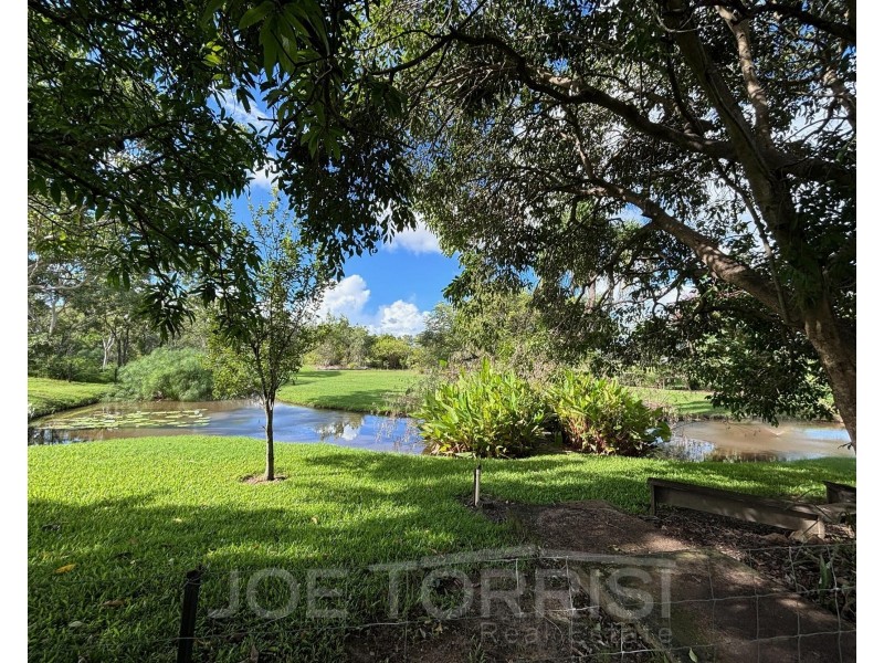 54 Lemonside Road, Mutchilba QLD 4872