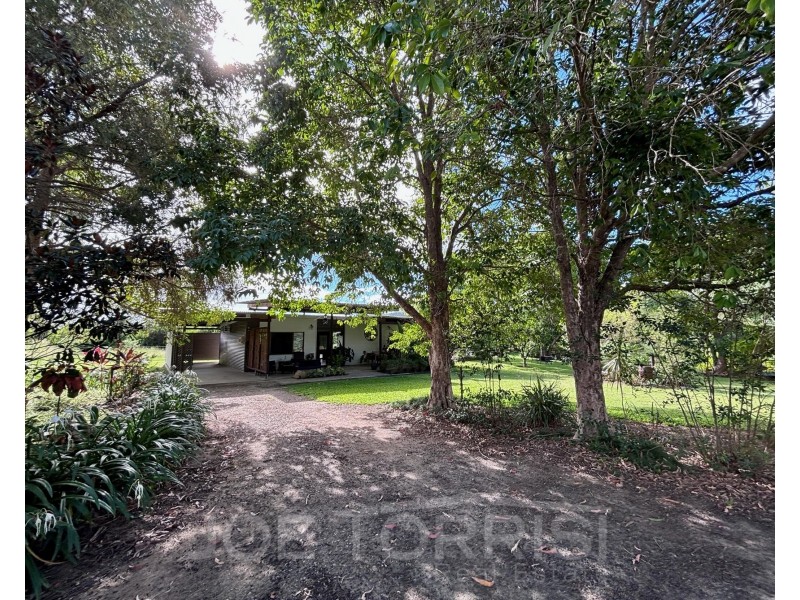 54 Lemonside Road, Mutchilba QLD 4872