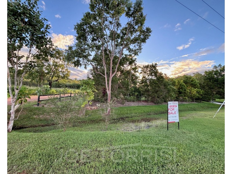54 Lemonside Road, Mutchilba QLD 4872
