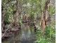 22 Andre Street, Mareeba QLD 4880