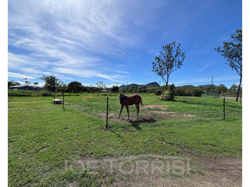 104 Macadamia Street, Mareeba QLD 4880