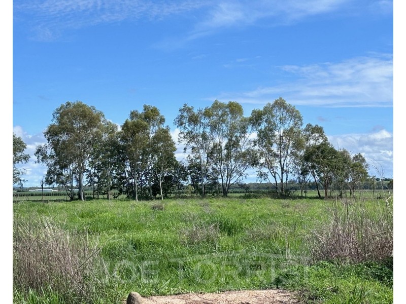 104 Macadamia Street, Mareeba QLD 4880