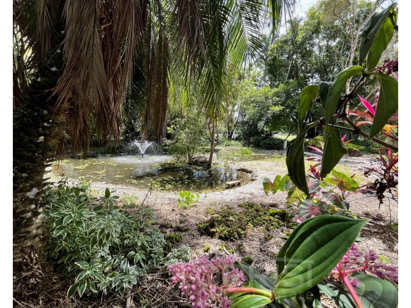 59 Coolamon Close, Mareeba QLD 4880